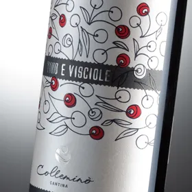 Vino e Visciole, bevanda aromatizzata a base di vino e visciole